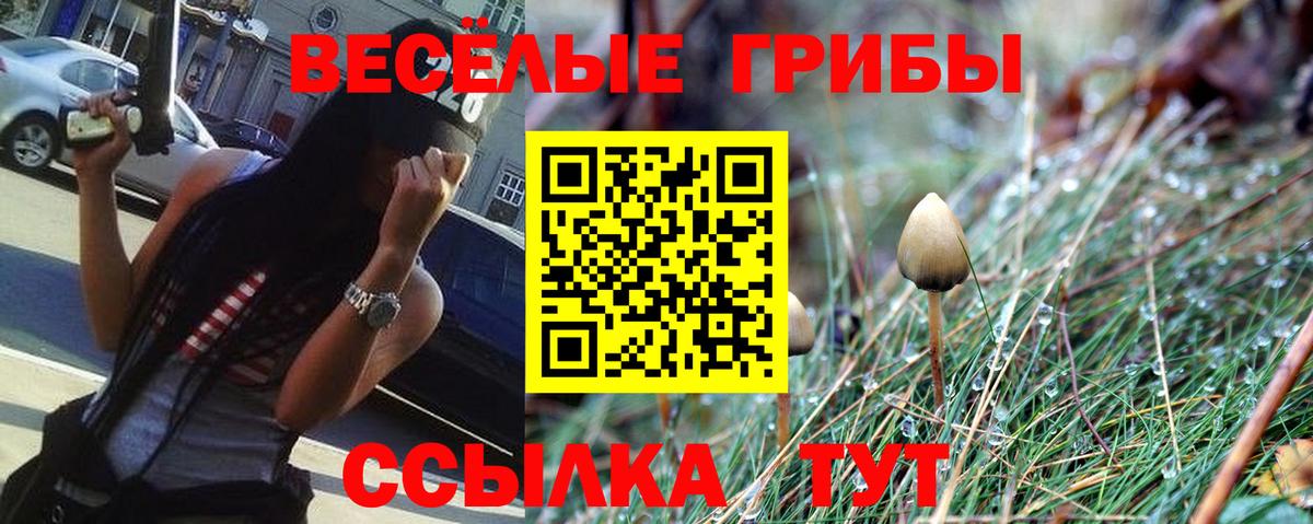 Галлюциногенные грибы MAGIC MUSHROOMS Богданович